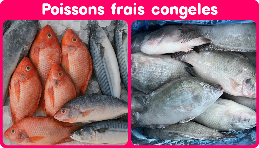 Poissons frais congelés